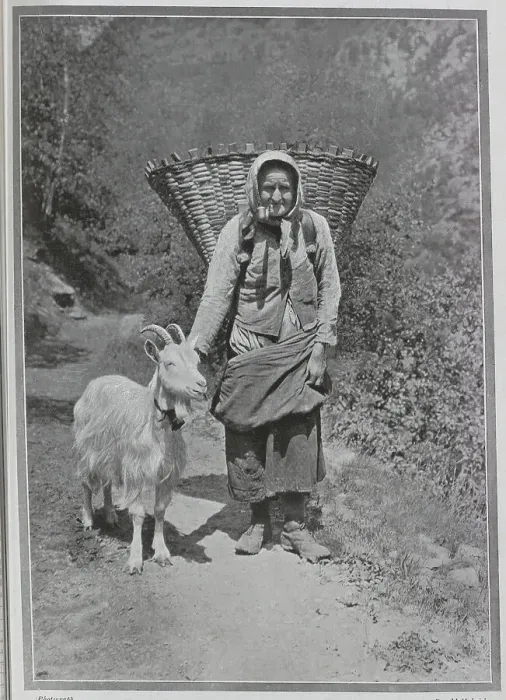 Framed Print : Alpine woman with headscarf, pipe, large basket and goat, outdoor scenic photograph. Captioned Beauty and the Beast, and an Alpine Discovery'. Date: 1910 Framed Print : Alpine woman with headscarf, pipe, large basket and goat, outdoor scenic photograph. Captioned Beauty and the Beast, and an Alpine Discovery'. Date: 1910