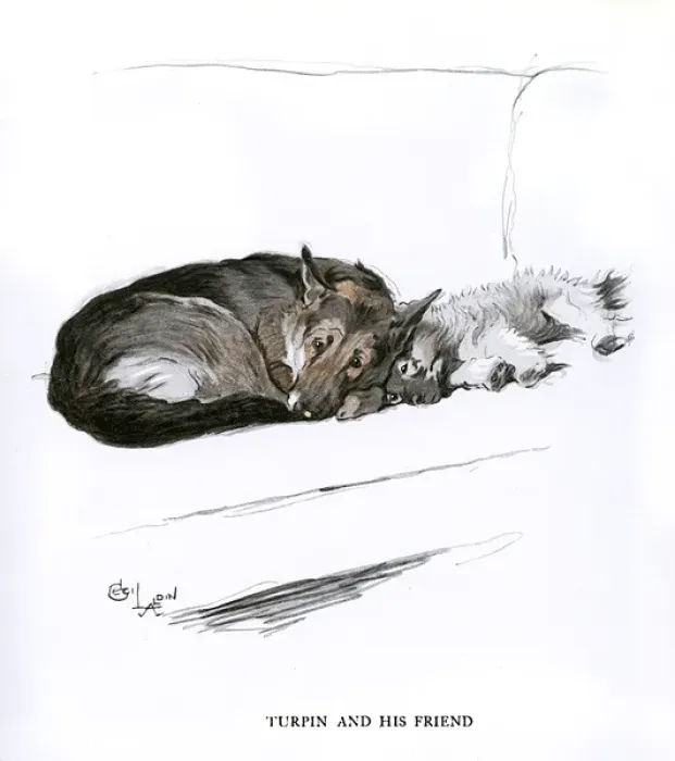 Framed Print : Alsatian and Sealyham terrier on a sofa Framed Print : Alsatian and Sealyham terrier on a sofa