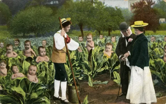 Framed Print : An Alternative Nursery Framed Print : An Alternative Nursery
