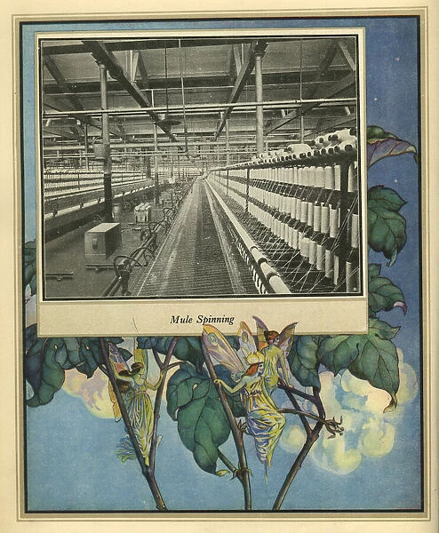 Amalgamated Cotton Mills Trust Ltd, 1920