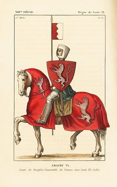 Amaury VI de Montfort, 1195-1241