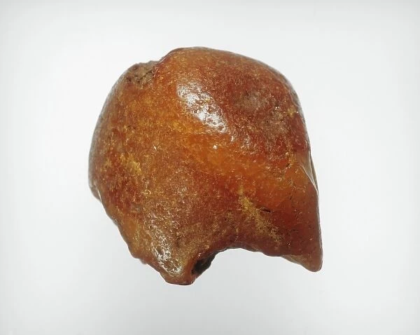 Amber artifact from Stone Age England