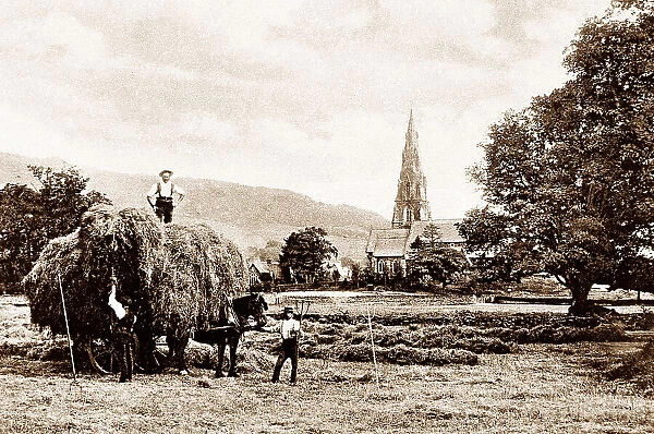 Ambleside Haymaking early 1900s