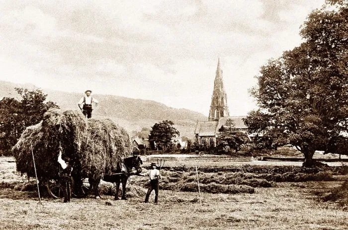 Framed Print : Ambleside Haymaking early 1900s