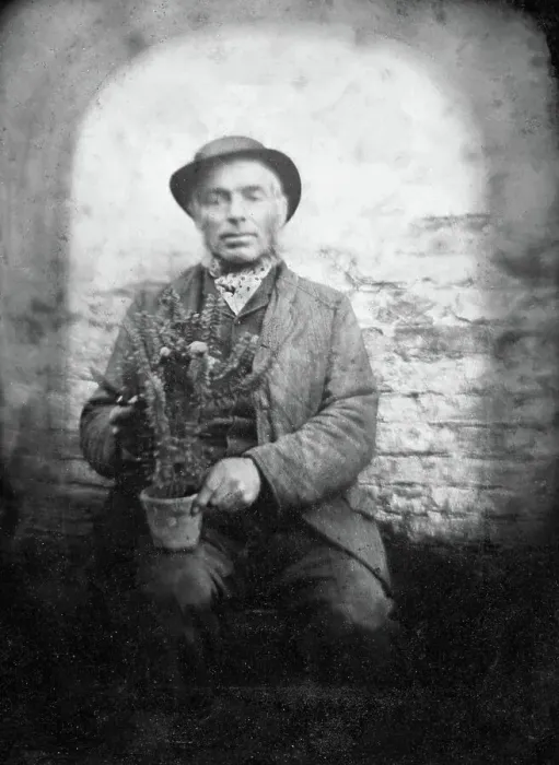 Framed Print : Ambrotype - Gardener