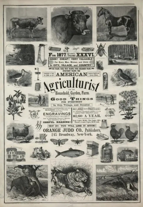 Framed Print : American agriculturist Framed Print : American agriculturist