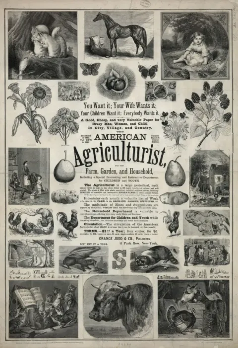 Framed Print : American agriculturist. Farm, garden, and household Framed Print : American agriculturist. Farm, garden, and household