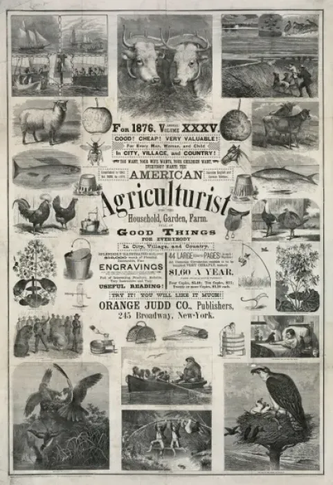 Framed Print : American agriculturist. Good things for everybody Framed Print : American agriculturist. Good things for everybody