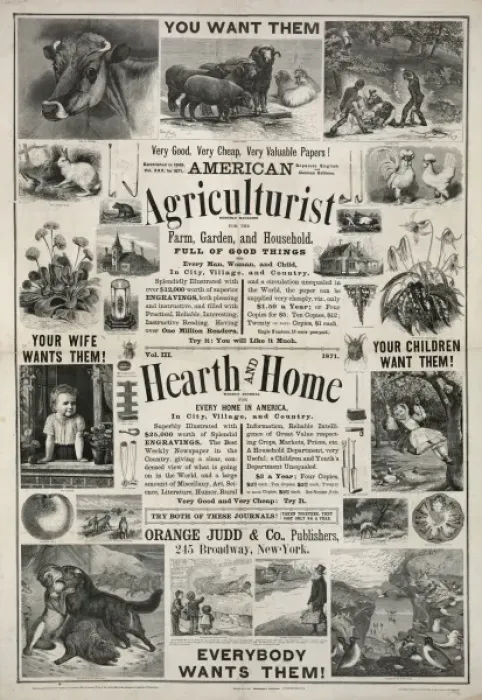 Framed Print : American agriculturist. Hearth and home Framed Print : American agriculturist. Hearth and home