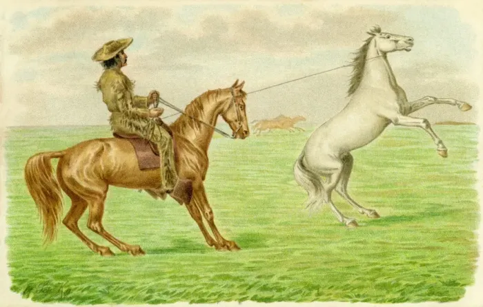 Framed Print : American cowboy Framed Print : American cowboy