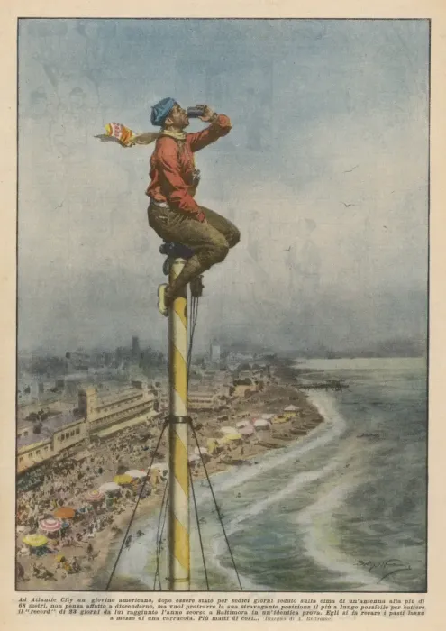 Framed Print : American Pole-Percher Framed Print : American Pole-Percher