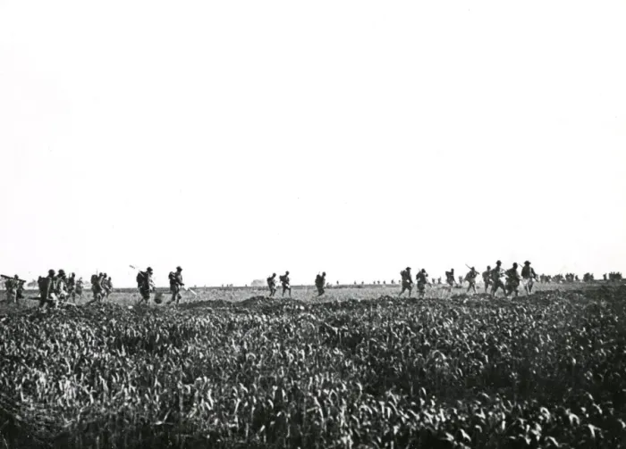 Framed Print : American troops, Battle of Cantigny, France, WW1 Framed Print : American troops, Battle of Cantigny, France, WW1