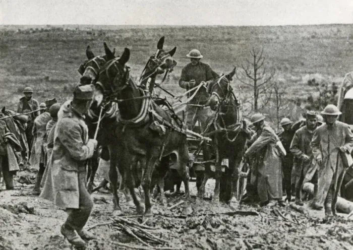 Framed Print : American troops at St Mihiel, France, WW1 Framed Print : American troops at St Mihiel, France, WW1