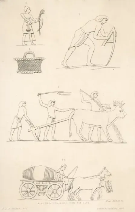 Framed Print : Ancient Egypt Farming Framed Print : Ancient Egypt Farming