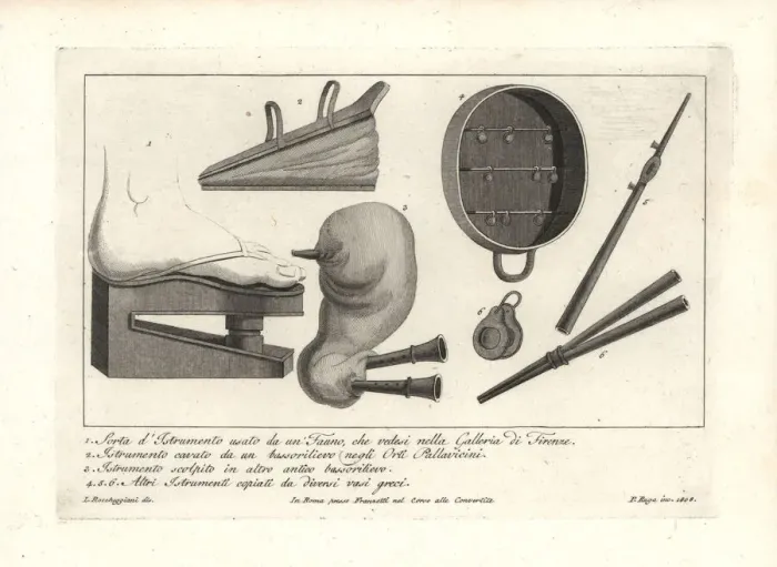 Framed Print : Ancient musical instruments including bellows Framed Print : Ancient musical instruments including bellows