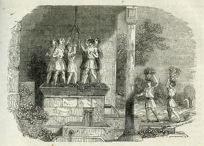 Framed Print : Ancient wine press, treading the grapes Framed Print : Ancient wine press, treading the grapes