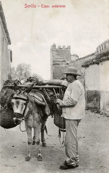 Framed Print : Andalucian Man with his laden donkey - Seville, Spain Framed Print : Andalucian Man with his laden donkey - Seville, Spain