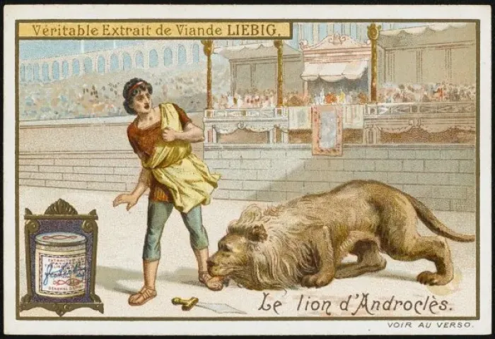 Framed Print : Androcles & Lion Framed Print : Androcles & Lion