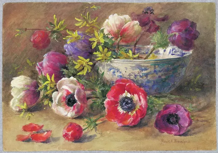 Framed Print : Anemones by Annie L. Pressland Framed Print : Anemones by Annie L. Pressland