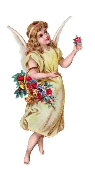 Framed Print : Angel with basket of flowers on a Victorian scrap Framed Print : Angel with basket of flowers on a Victorian scrap