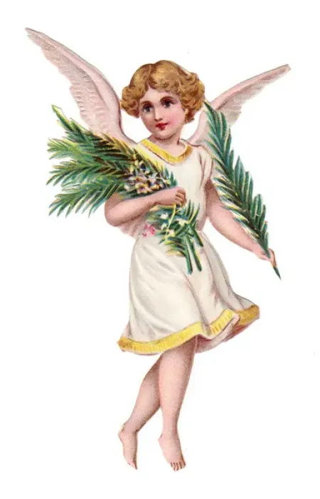 Framed Print : Angel with greenery on a Victorian scrap Framed Print : Angel with greenery on a Victorian scrap