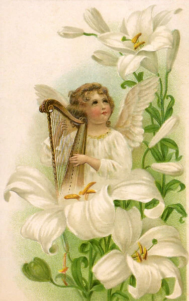 Angel in the Lilies