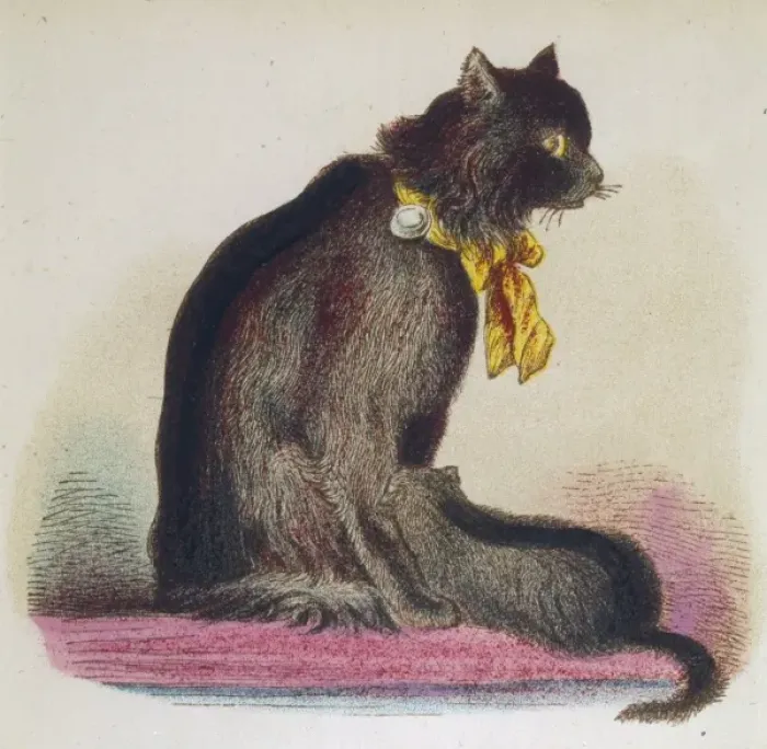 Framed Print : Angora Cat 1870S Framed Print : Angora Cat 1870S
