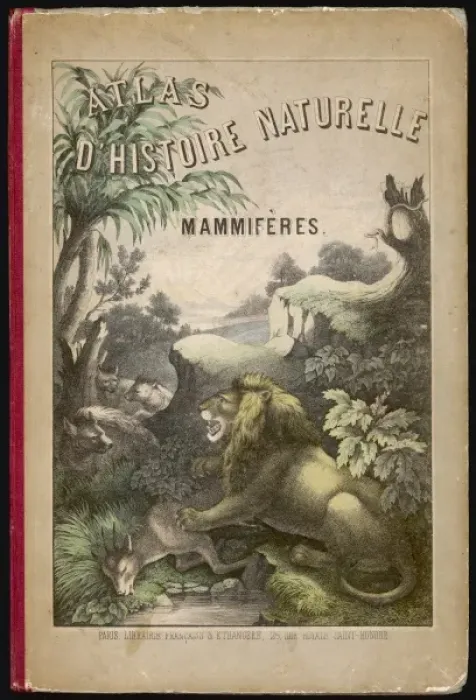 Framed Print : Animal Atlas Front Cover