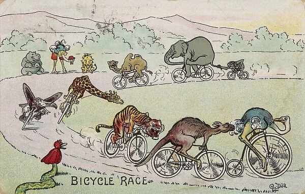 Animal Bicycle Race. Available as Photo Prints, Wall Art and other products  #4346118