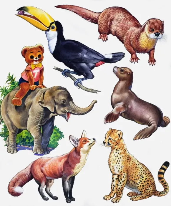 Framed Print : Animal montage Framed Print : Animal montage