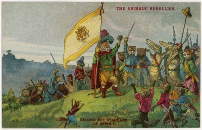 Framed Print : Animal Rebellion - 2 Framed Print : Animal Rebellion - 2