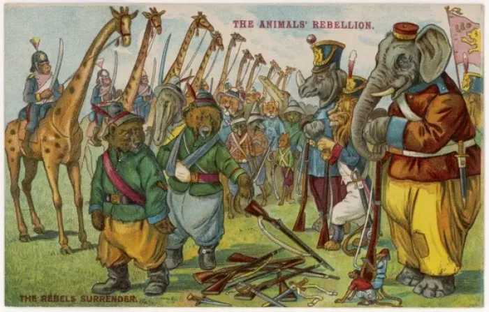 Framed Print : Animal Rebellion - 5 Framed Print : Animal Rebellion - 5
