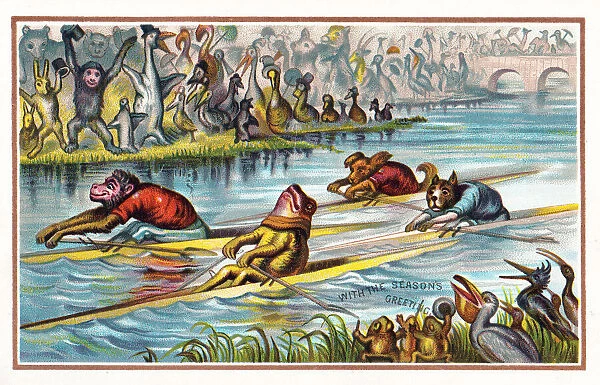 Animals in boat race on a Christmas card