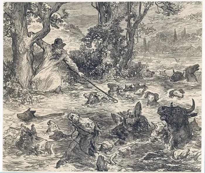 Framed Print : Animals in Flood Framed Print : Animals in Flood