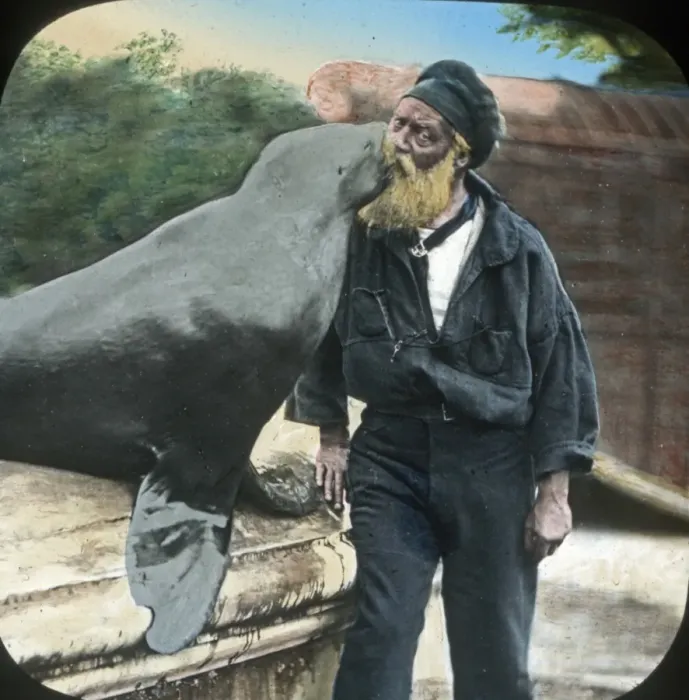 Framed Print : Animals at a French Zoo - Sealion Framed Print : Animals at a French Zoo - Sealion