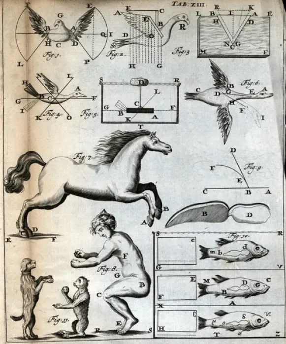 Framed Print : Animals and human figure Framed Print : Animals and human figure