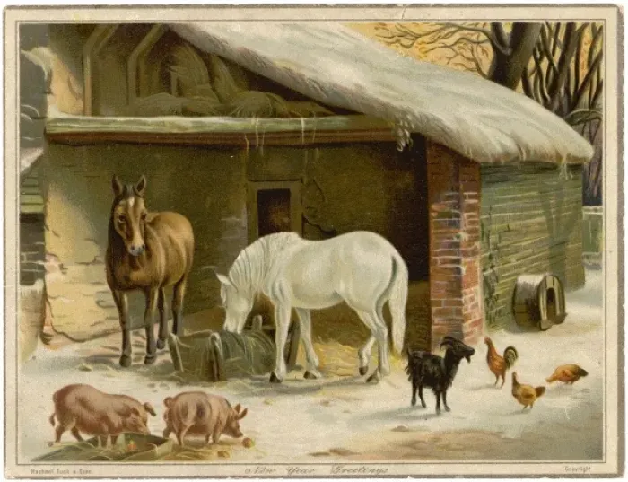 Framed Print : Animals Keeping Warm Framed Print : Animals Keeping Warm