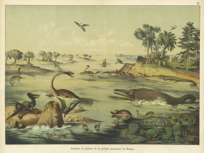 Framed Print : Animals and plants of the Jurassic era Framed Print : Animals and plants of the Jurassic era