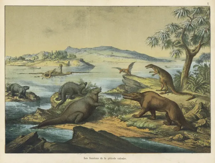 Framed Print : Animals and plants of the post-Jurassic era Framed Print : Animals and plants of the post-Jurassic era