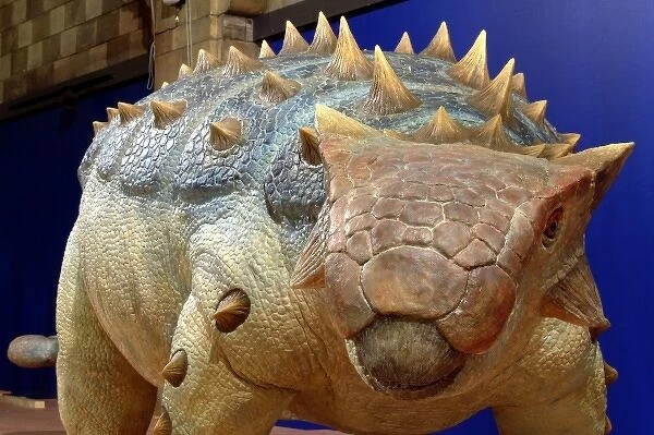 Ankylosaurus. An animatronic model of the dinosaur Ankylosaurus created