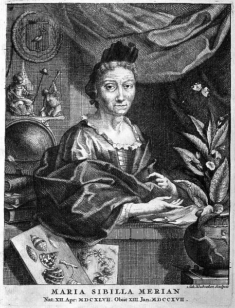 Anna Maria Sibylla Merian (1647-1717)