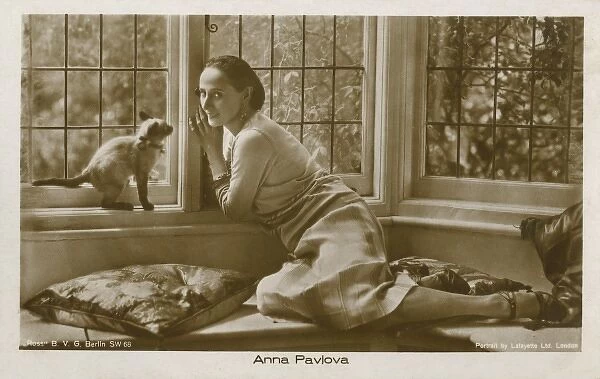 Anna Pavlova  /  Home  /  Cat