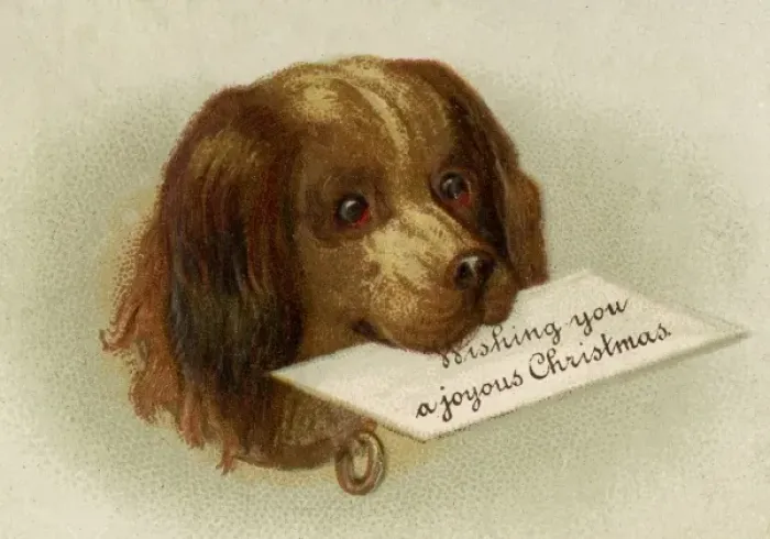 Framed Print : Anon. Dog with message. jpg Framed Print : Anon. Dog with message. jpg