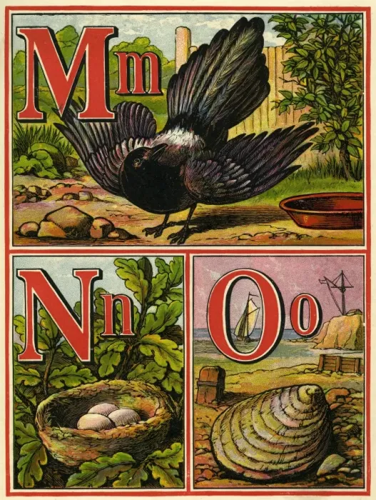 Framed Print : Anon. Warne alphabet 1875. MNO Framed Print : Anon. Warne alphabet 1875. MNO