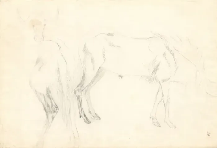 Framed Print : Antelope. Ff. 25. Drawing by George Forster (1754-1794) Framed Print : Antelope. Ff. 25. Drawing by George Forster (1754-1794)