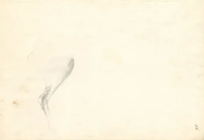 Framed Print : Antelope. Ff. 26. Drawing by George Forster (1754-1794) Framed Print : Antelope. Ff. 26. Drawing by George Forster (1754-1794)