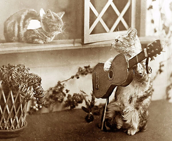 Anthropomorphic cats, Victorian period