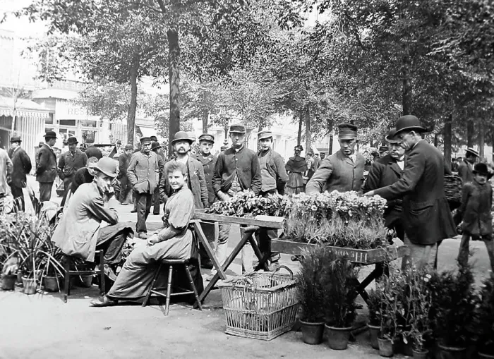 Framed Print : Antwerp Flower Market, Victorian period Framed Print : Antwerp Flower Market, Victorian period