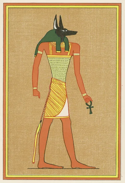 Framed Print : Anubis, god of the dead, with head of a jackel Framed Print : Anubis, god of the dead, with head of a jackel