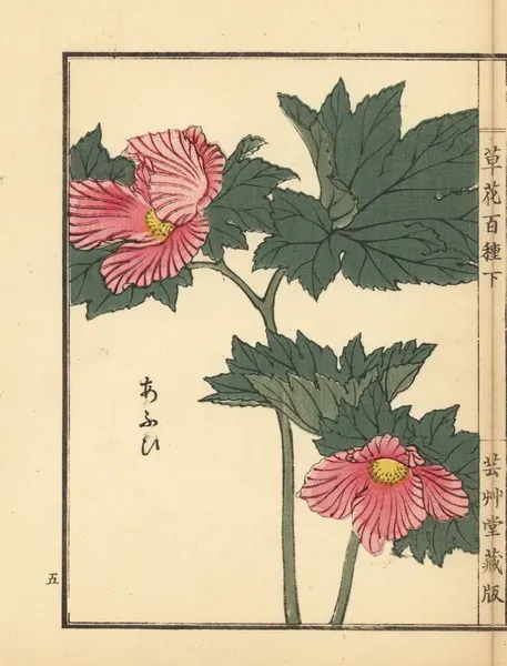 絵画 aoia Handcolored Woodblock Print of Aoi Hollyhock, Alcea rosea. Art